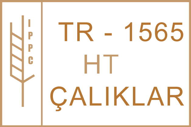 ISPM çalıklar palet